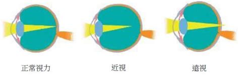 奇书网电子书txt下载官网免费下载全集